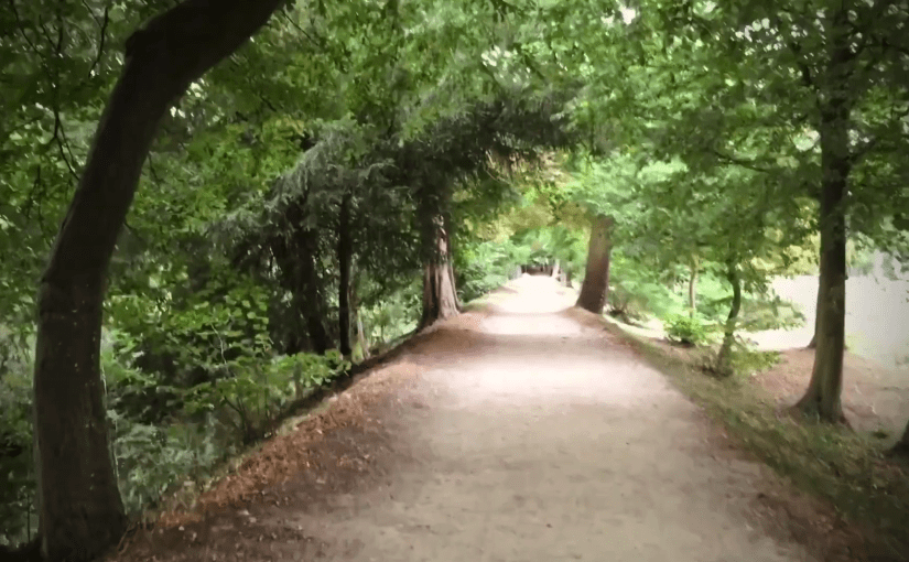 Au milieu du&nbsp;monde